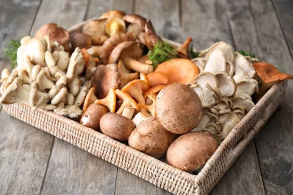 Is Mushroom Farming A Profitable Business Calculations