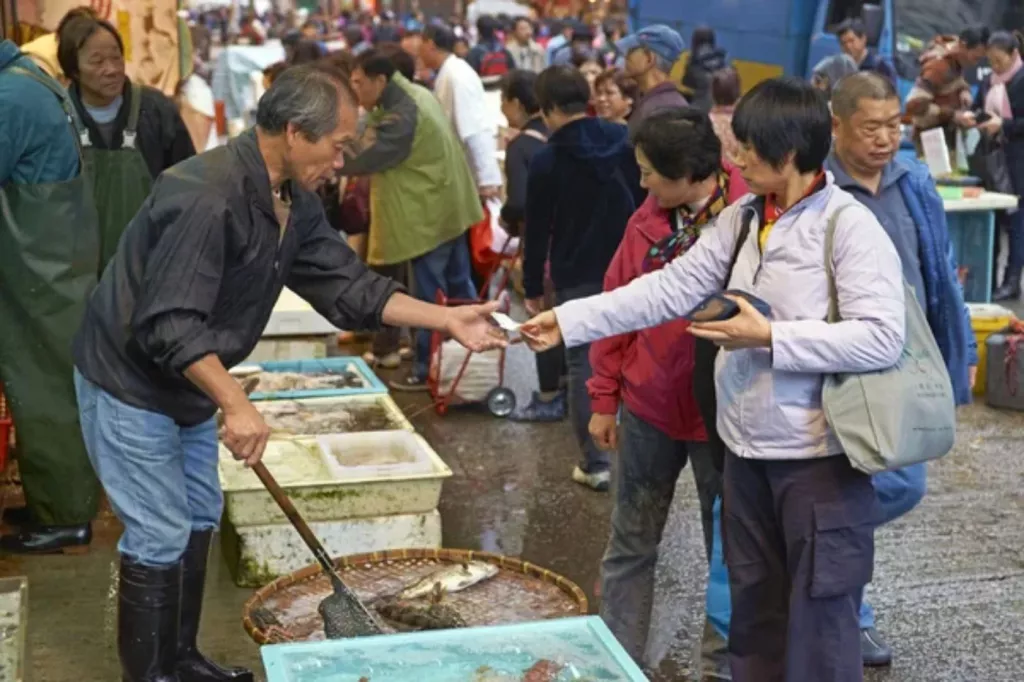Market Fish Guide Where To Buy Fish for Aquaponics (3 Common Places) - 🐝 BootstrapBee.com ...