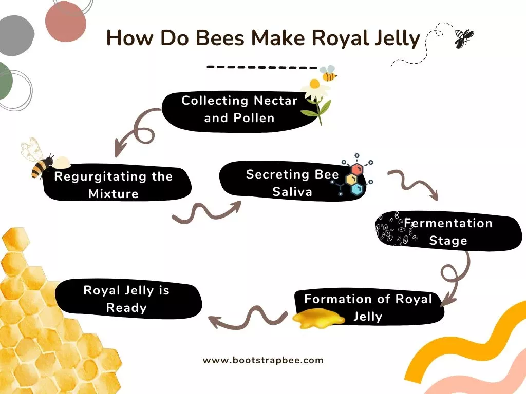How Do Bees Make Royal Jelly? (StepbyStep with Diagram) 🐝