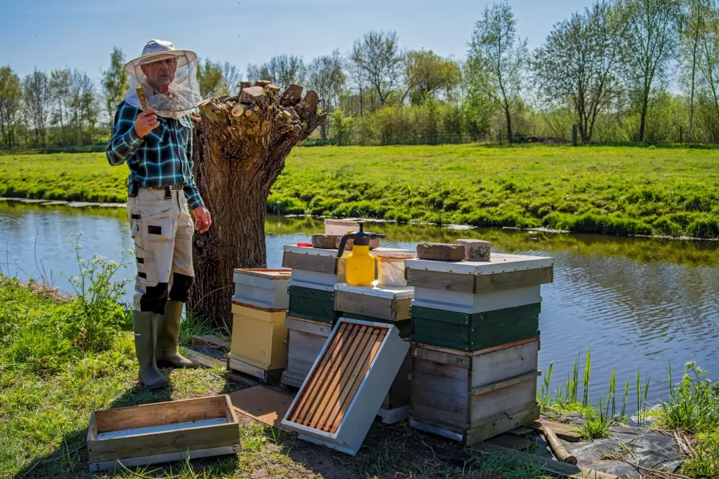 How Much Do Beekeepers Make An Hour?