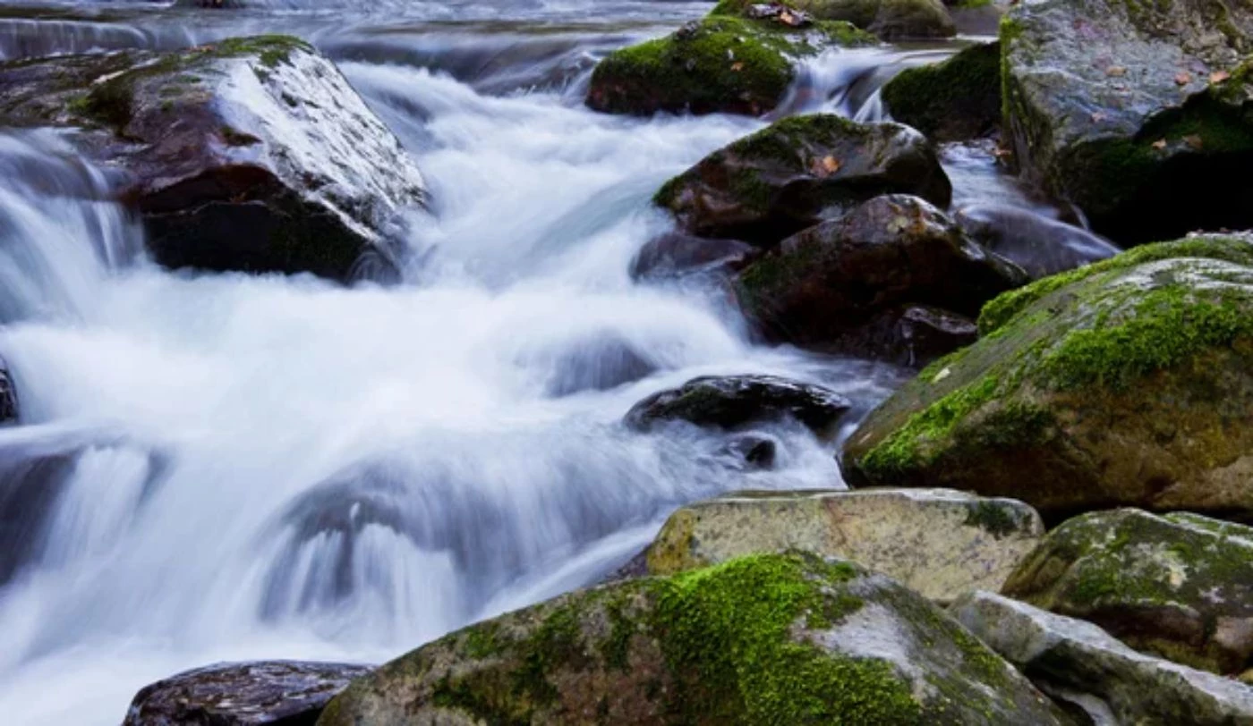 Different Water Sources for Fish Farming Explained - 🐝 BootstrapBee.com ...