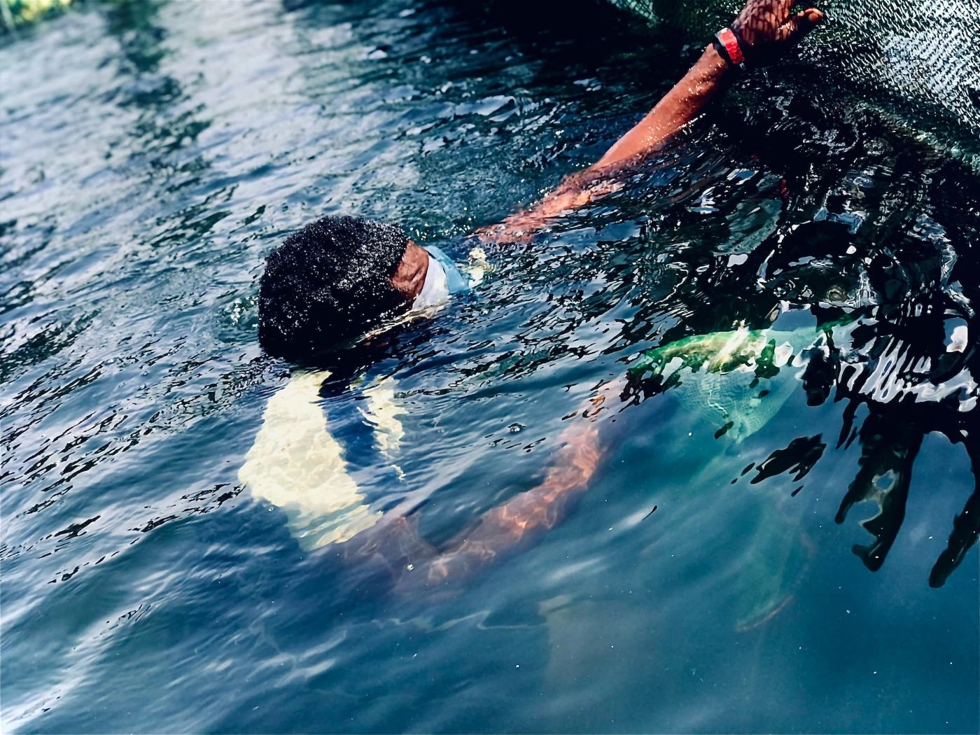 How To Start a Small Fish Farm? (Cost, Setup, Species) 🐝 BootstrapBee