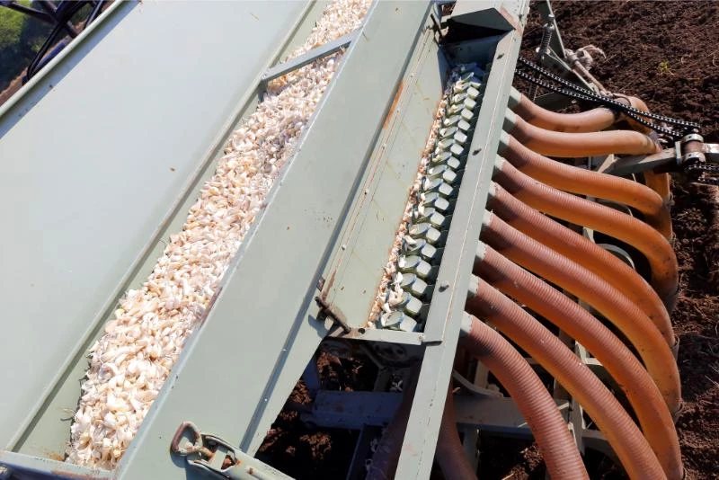 Garlic Farming Equipment You'll Need (With Costs) 🐝
