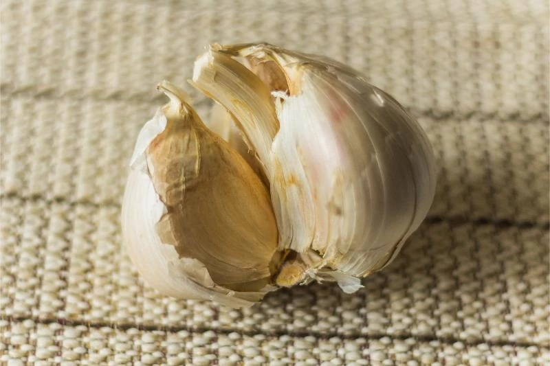 Why Does Garlic Need to Be Cured? (How to Cure It) 🐝