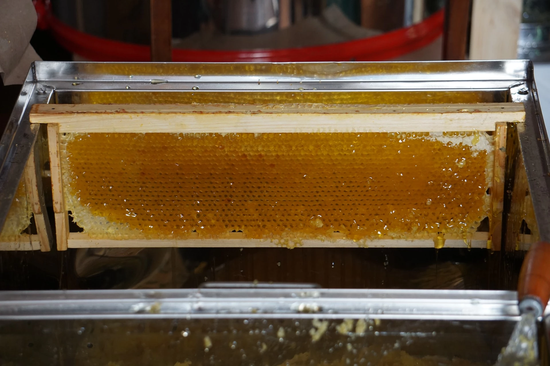 The Best Way to Store Capped Honey Frames 🐝