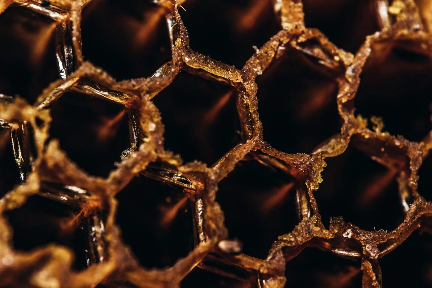 Why Does Honey Crystallize & How Do You Stop It? 🐝 Actionable bootstrapping