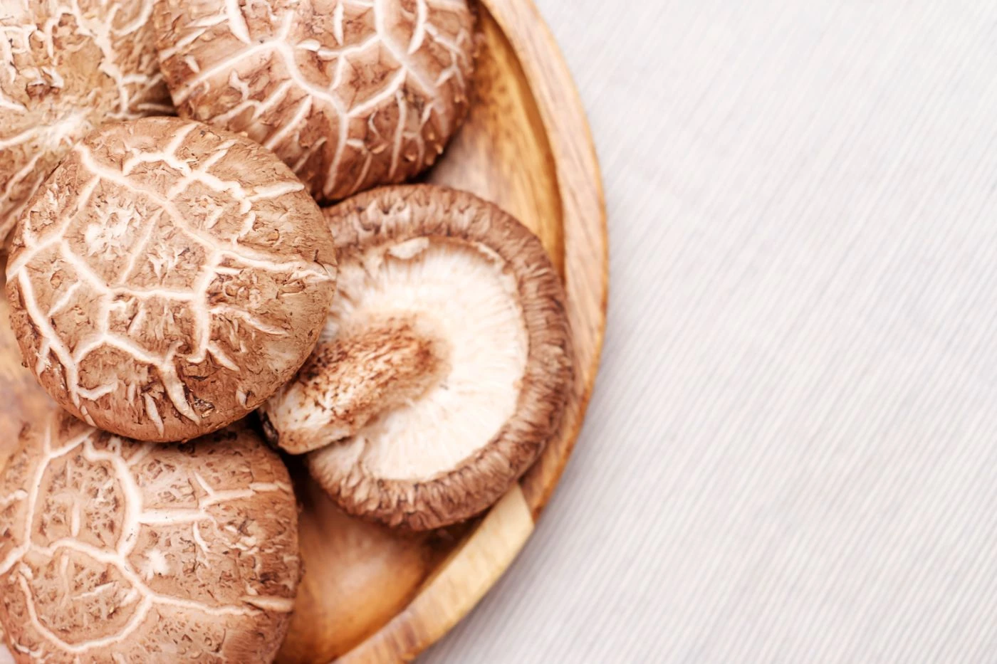Ideal Growing Conditions for Shiitake (Temperature, Humidity) 🐝