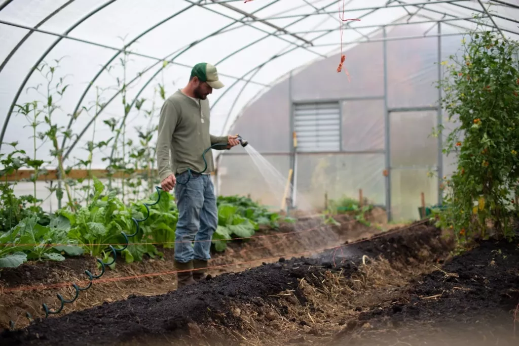 How To Make A Small Farm Actually Profitable 100K BootstrapBee 