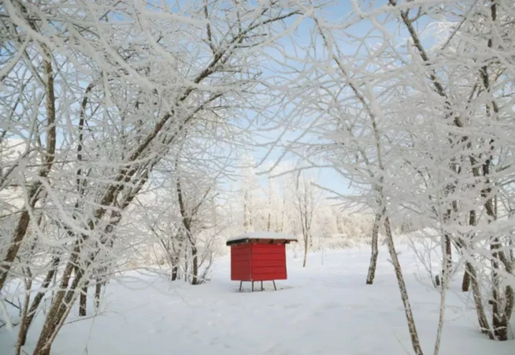The 3 Best Insulation Materials for Beehives in Winter 🐝 BootstrapBee