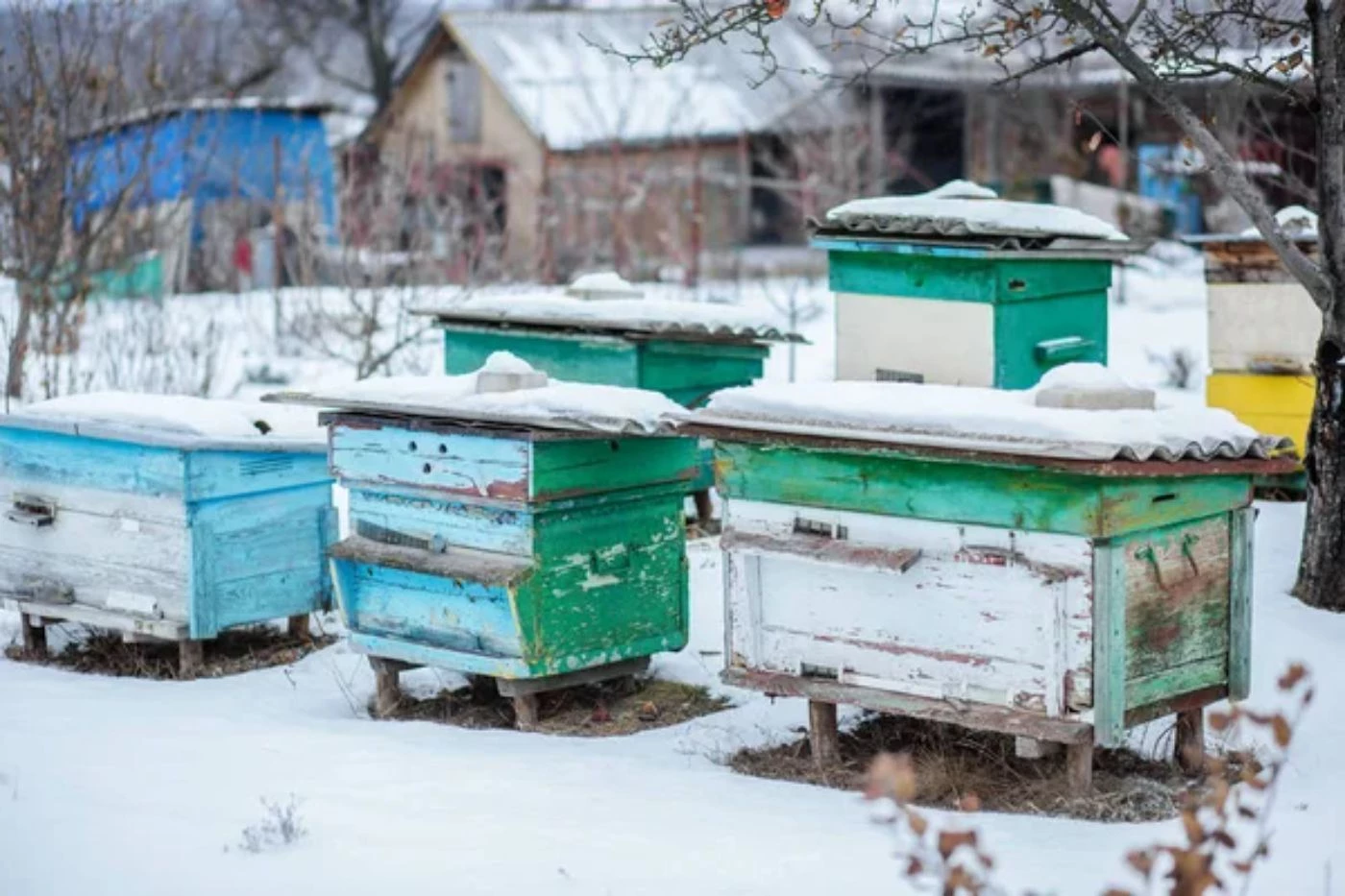 The 3 Best Insulation Materials for Beehives in Winter 🐝 BootstrapBee