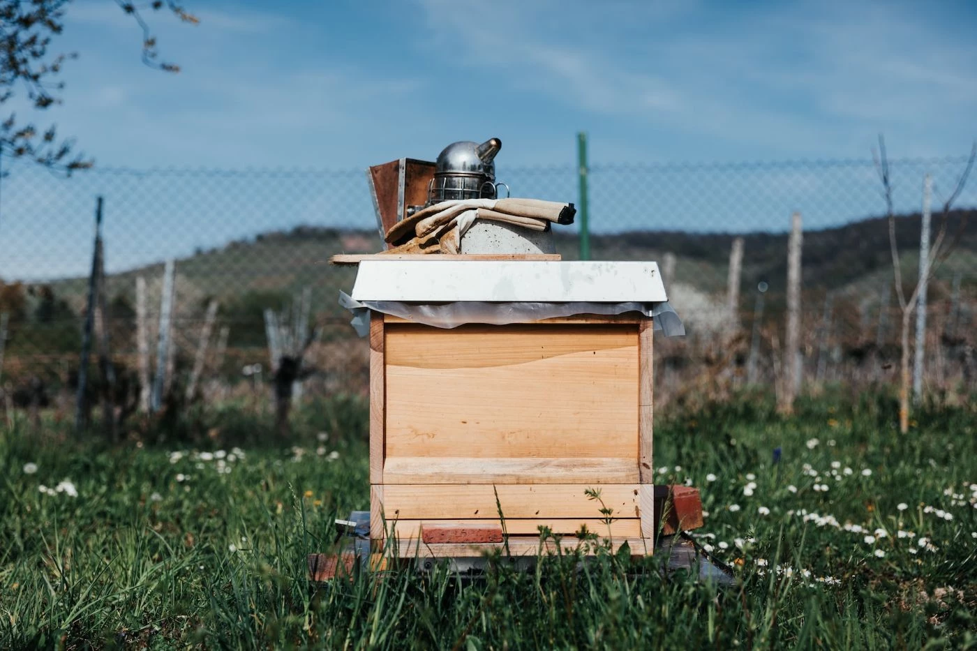 How To Ventilate a Beehive And What To Avoid 🐝