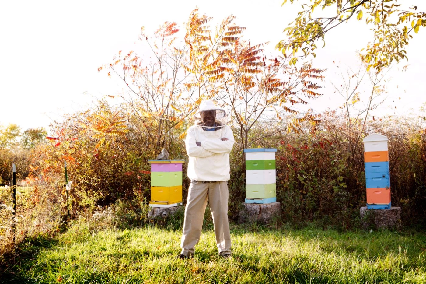 Is Beekeeping Good or Bad For the Environment? (Actually, Both) 🐝