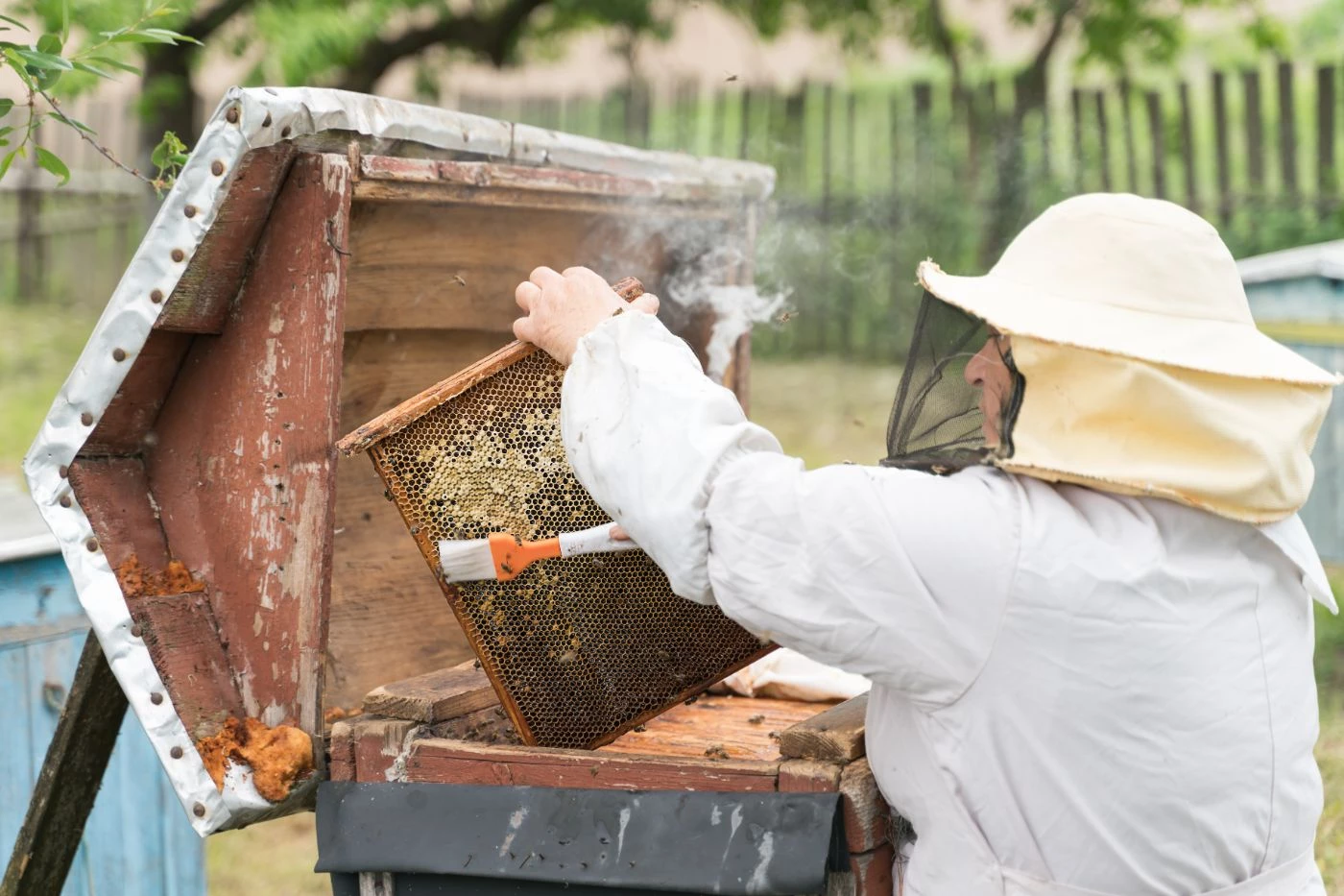 Local beekeepers prepare hives for harsh winter weather