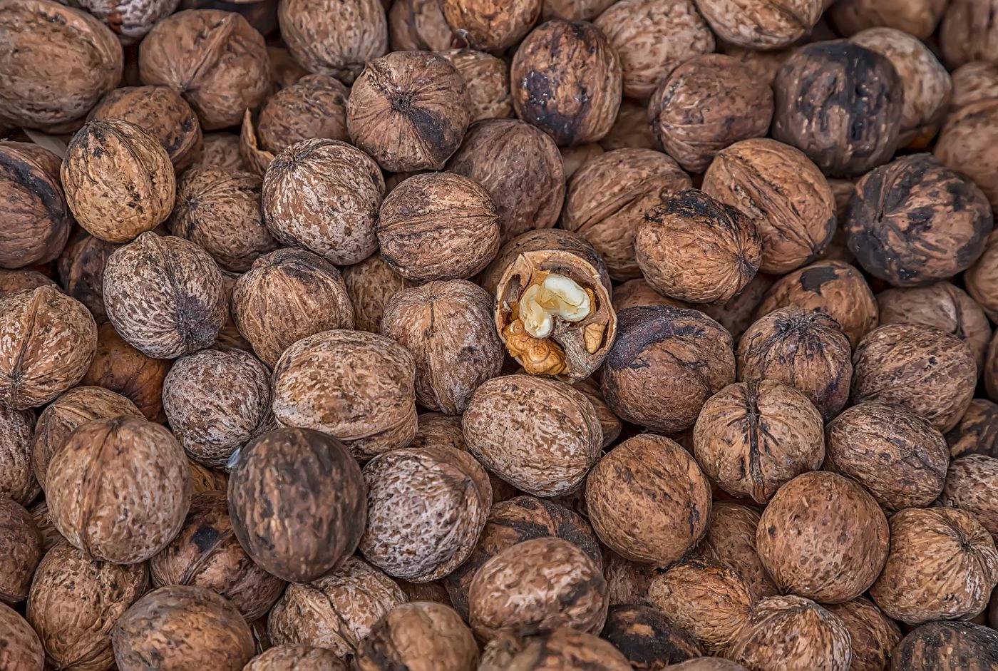 Chandler Walnut Profit Per Acre (Detailed 2023 Breakdown) 🐝