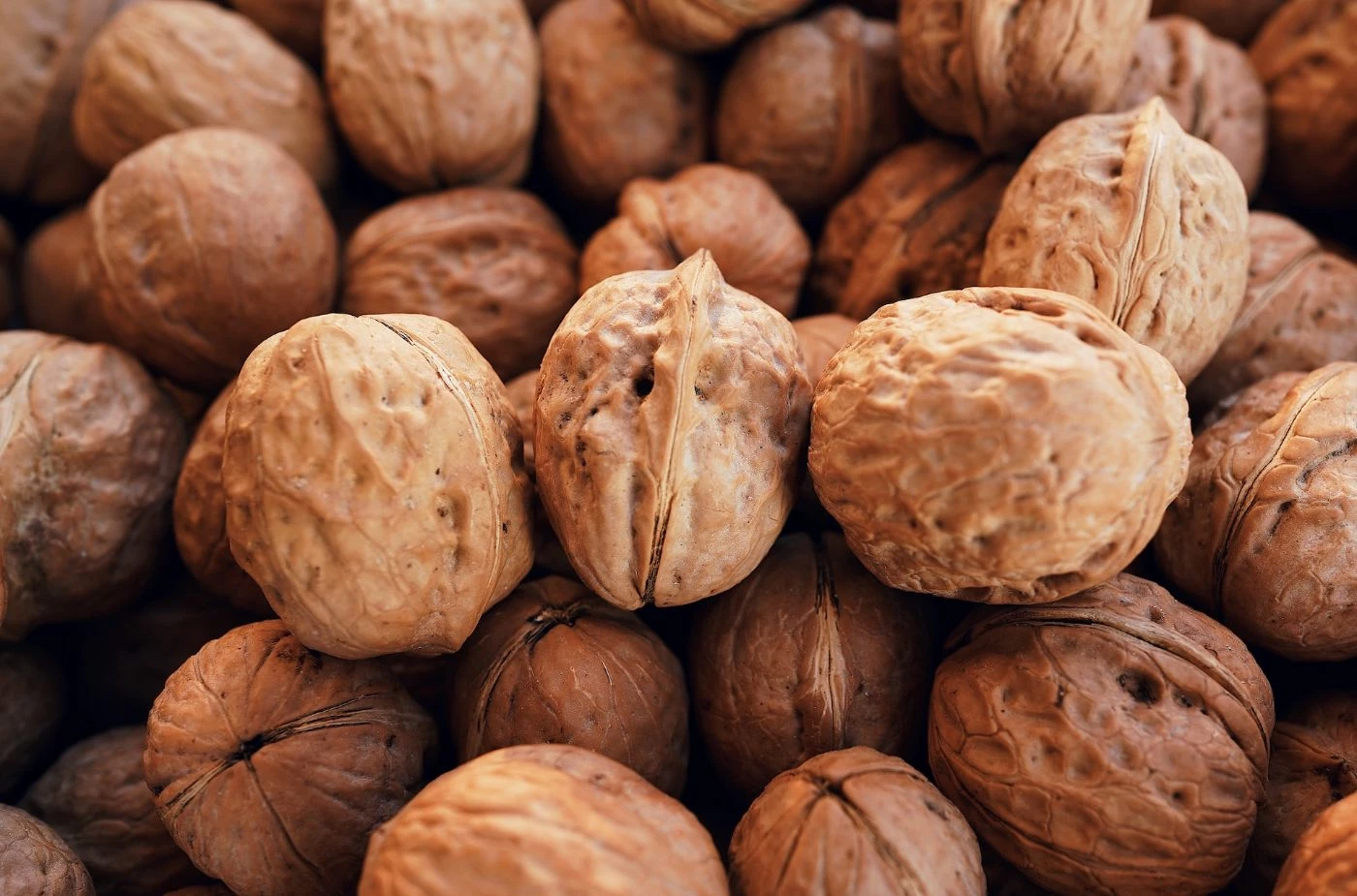 Do Walnuts Produce Every Year (and How to Increase Yields) 🐝