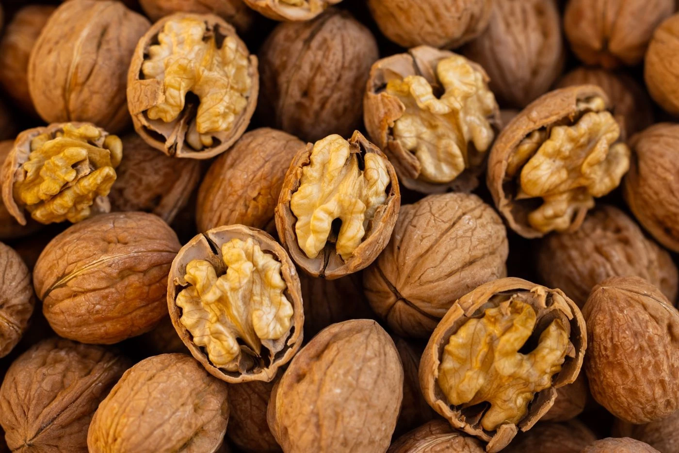 Do Walnuts Produce Every Year (and How to Increase Yields) 🐝
