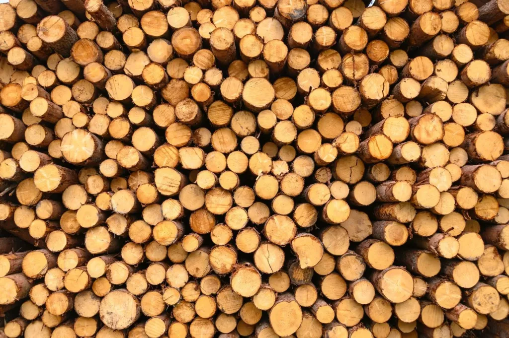 How Much Money Can You Get for Timber per Acre? (2023 Prices) 🐝