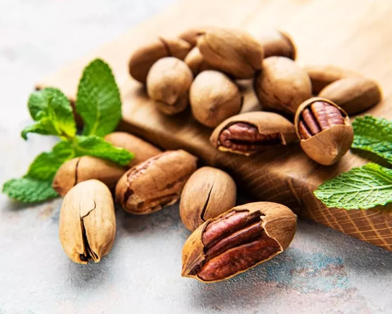 Why the Fastest Producing Pecan Tree Is the Pawnee 🐝