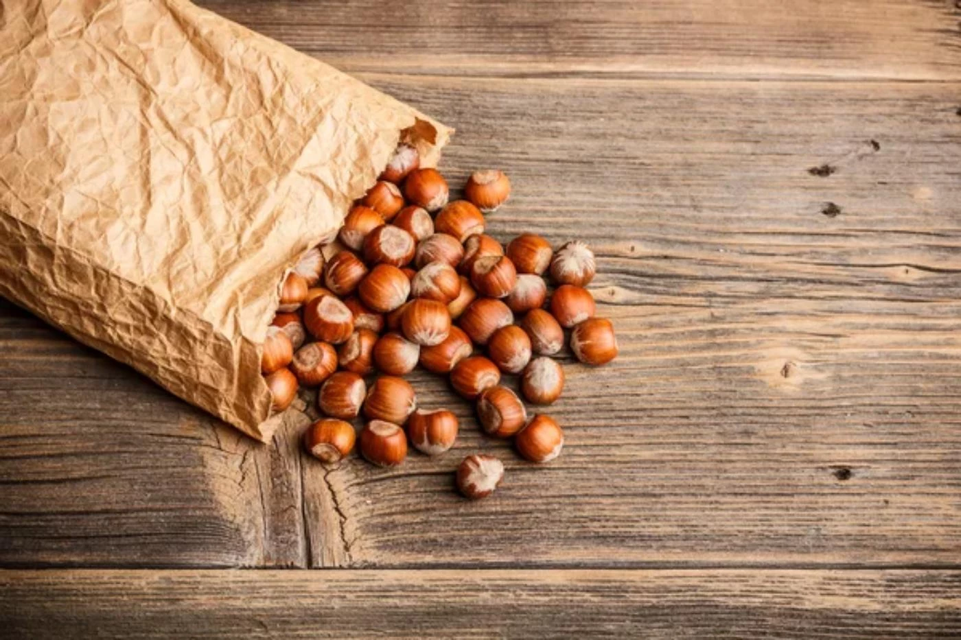 Average Hazelnut Profit per Acre (How Much You'll Make) 🐝