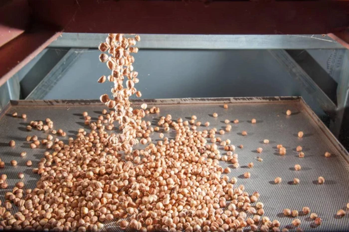 The Top 10 Largest Producer of Hazelnuts 🐝