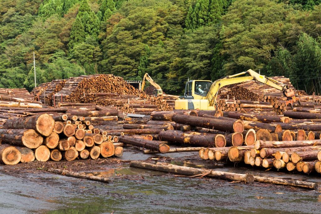 The Most Profitable Trees to Grow: Complete 2023 Breakdown - ? ...