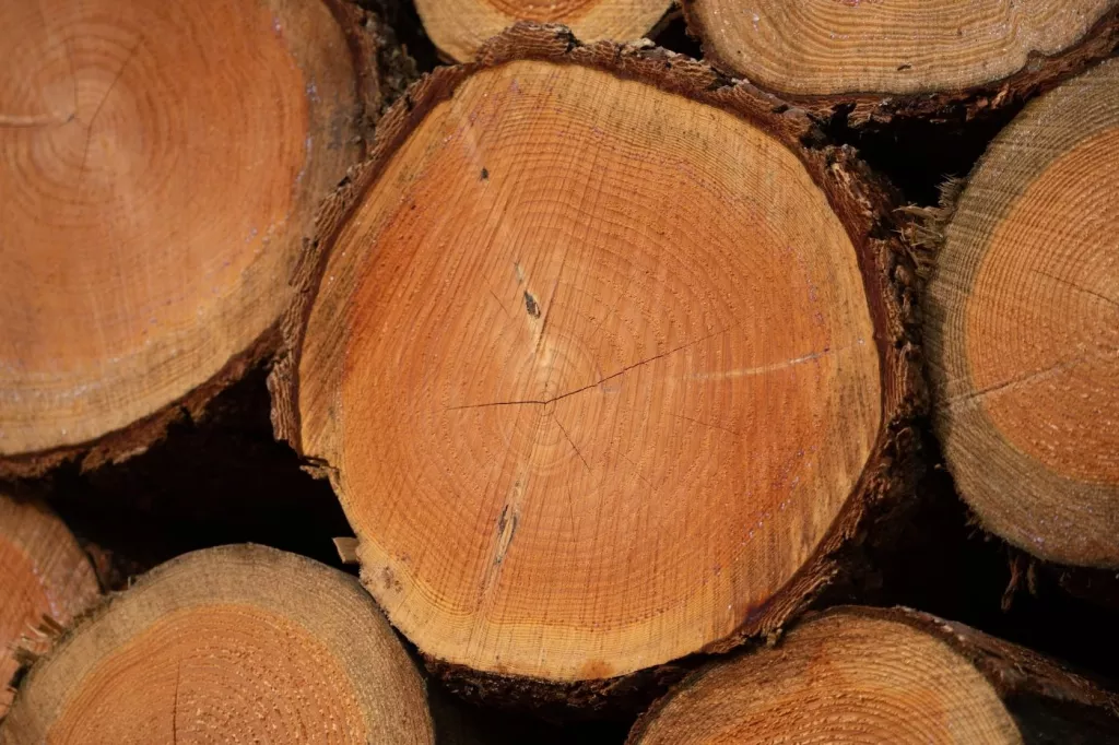 What's the Value of Hardwood Timber per Acre? 🐝
