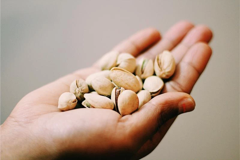 Where Do Pistachio Trees Grow? (Best Growing Zone) 🐝