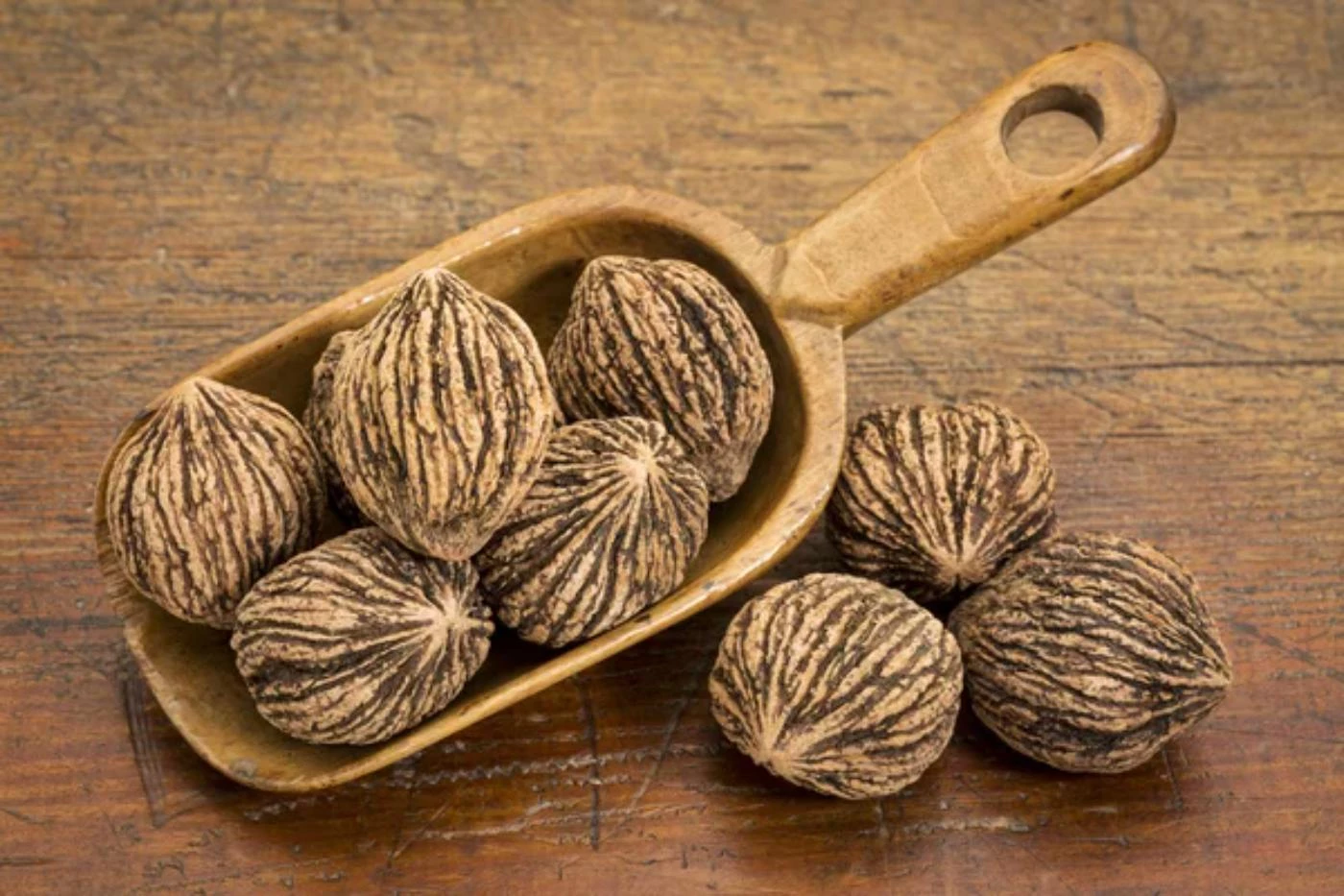 9 Surprising Places to Sell Black Walnuts with High Margins 🐝