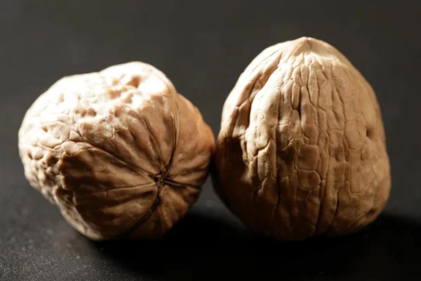 9 Surprising Places to Sell Black Walnuts with High Margins 🐝